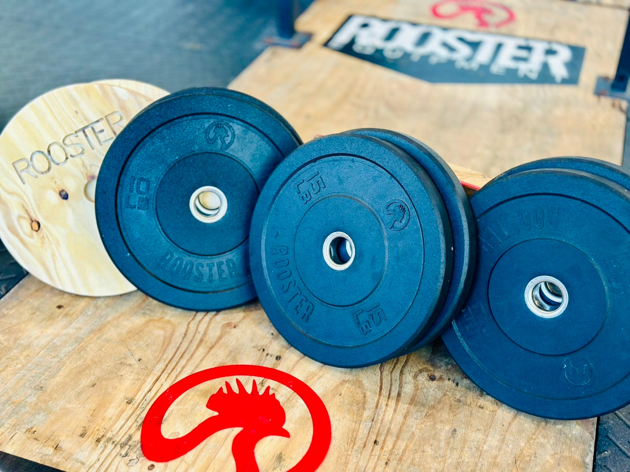 Plates & Storage Starter Pack