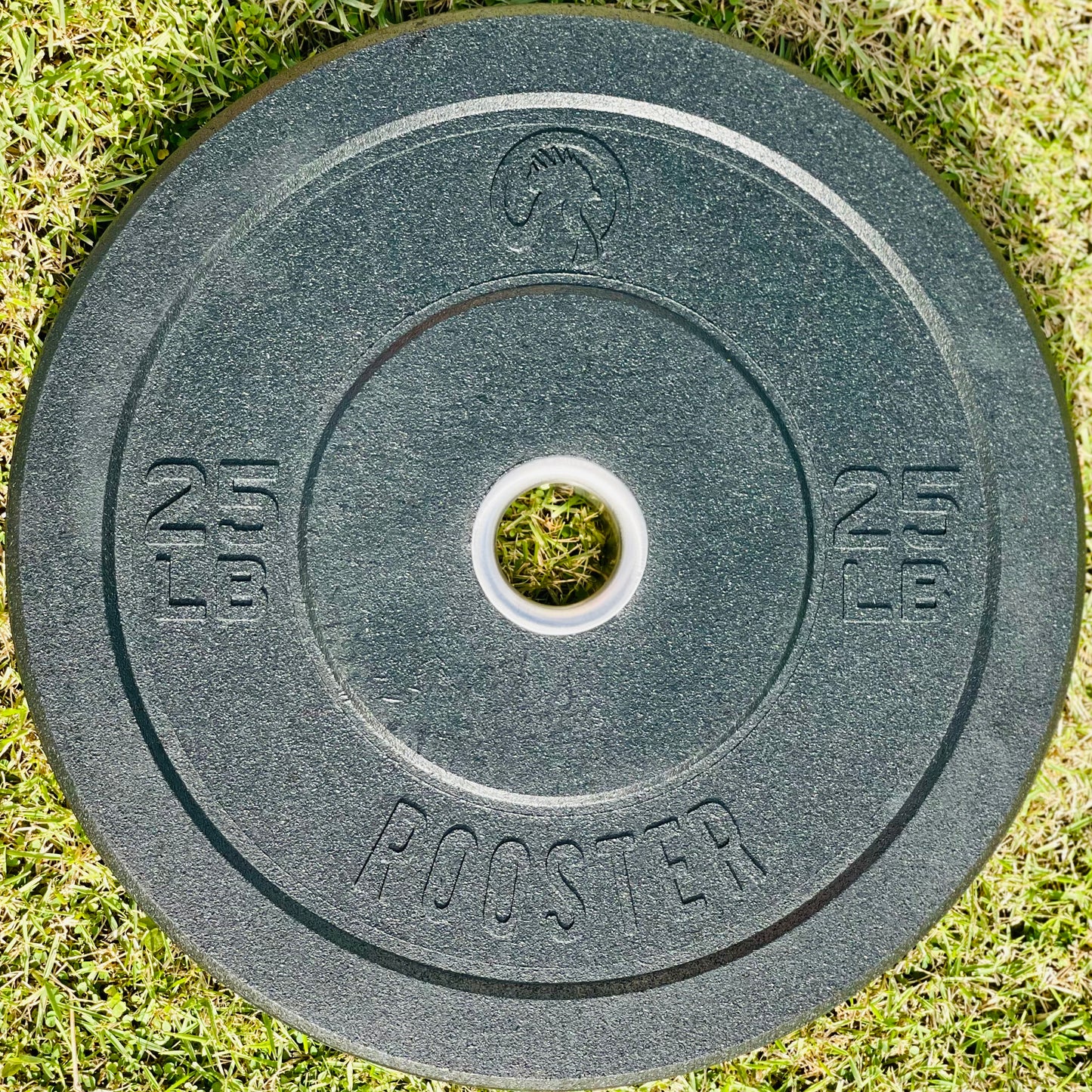Rooster Hi-Temps Bumper Plates