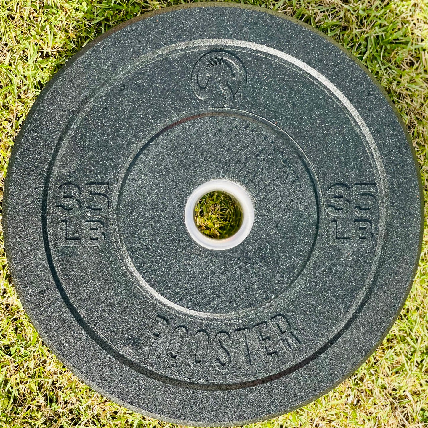 Rooster Hi-Temps Bumper Plates
