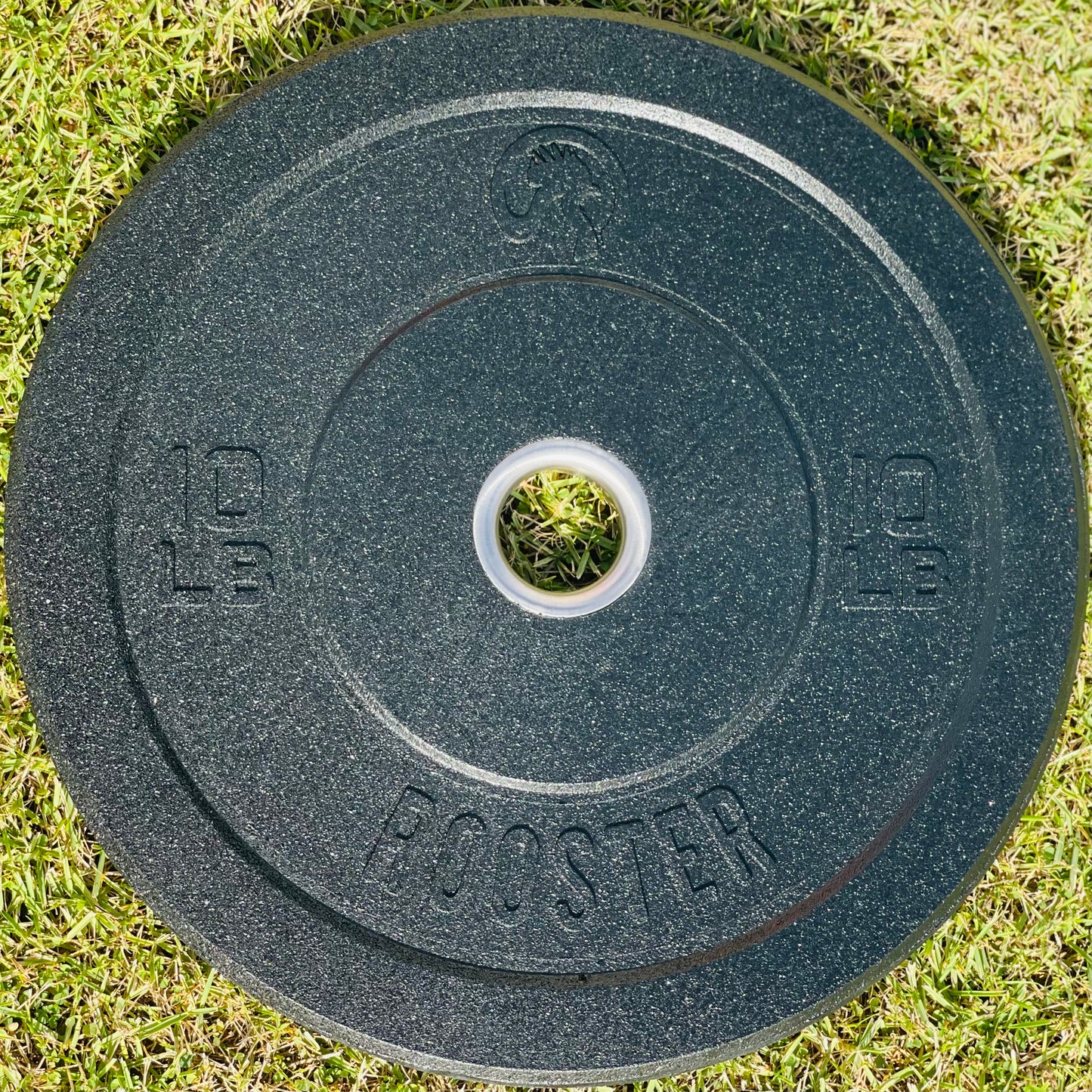 Rooster Hi-Temps Bumper Plates