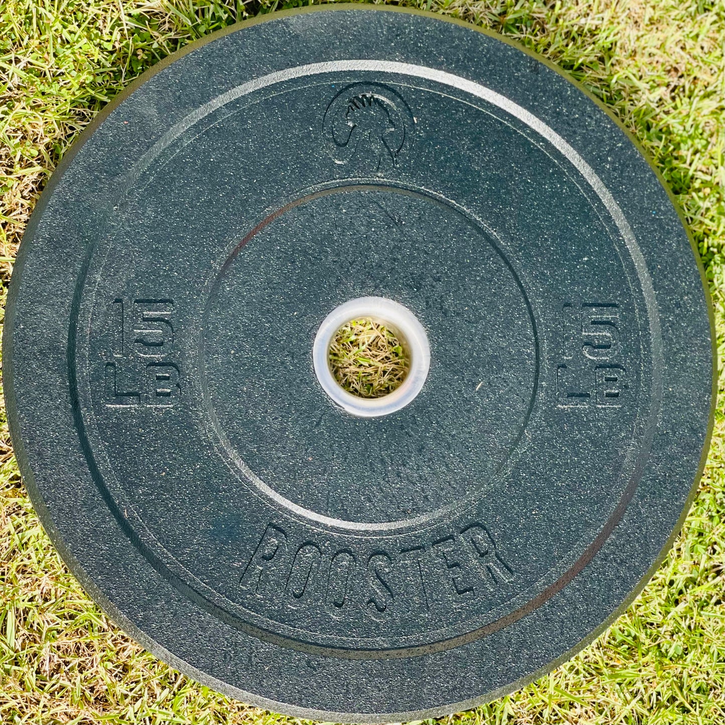 Rooster Hi-Temps Bumper Plates