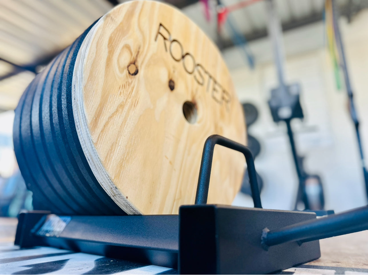 Plates & Storage Starter Pack