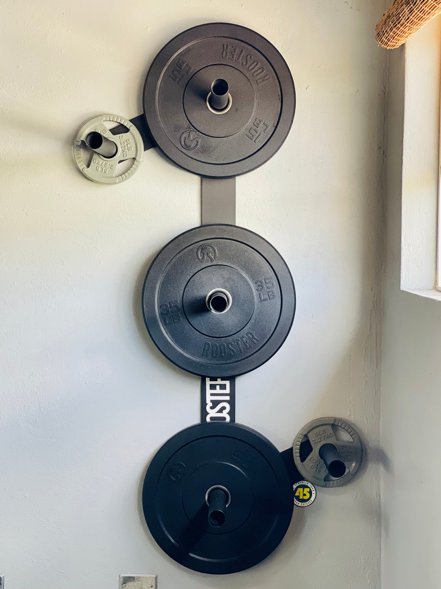 Bumper Plate Wall Storage