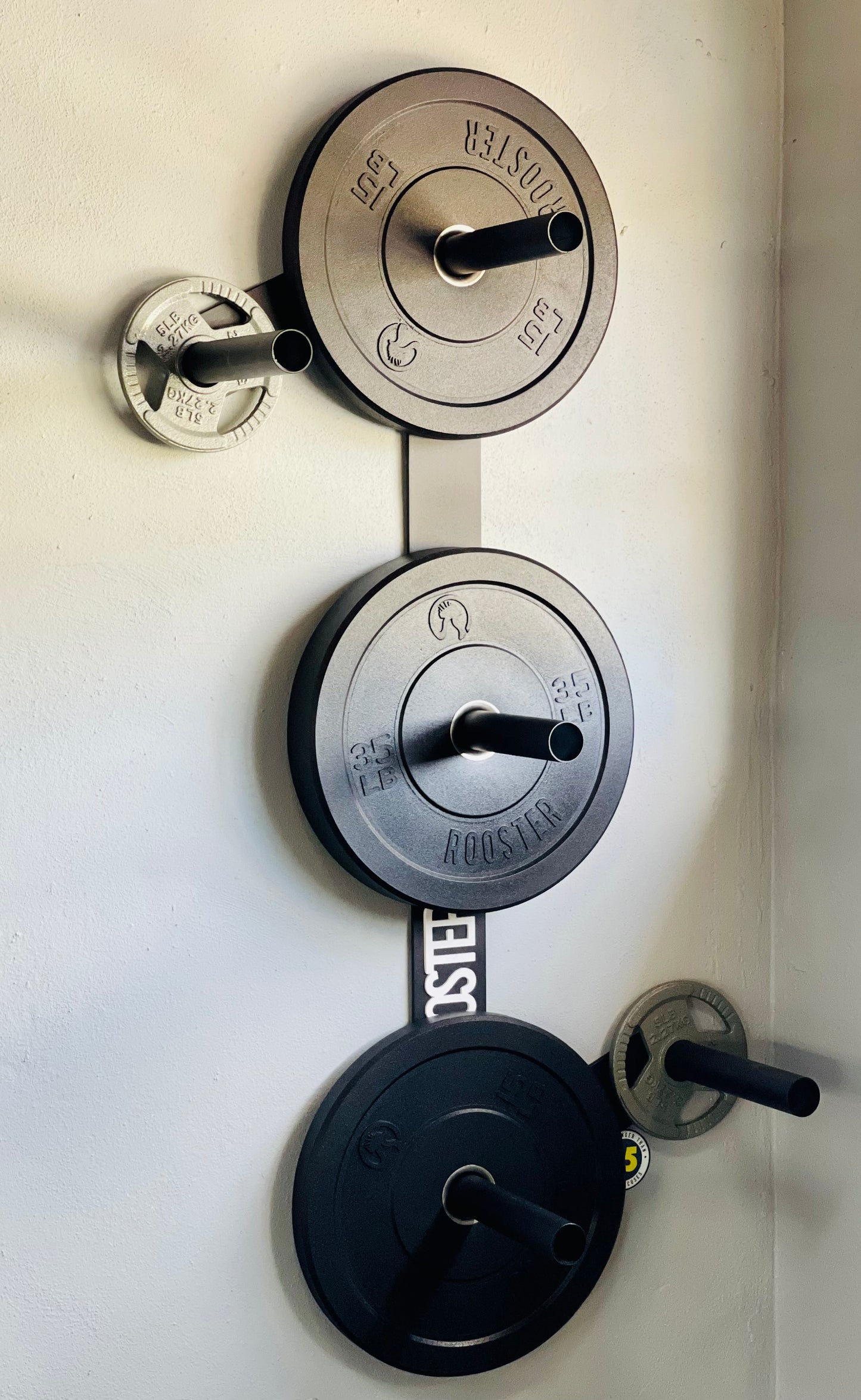 Bumper Plate Wall Storage